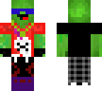 sweg turtle
