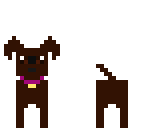 my beloved pet  lexi
