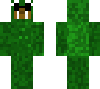 walrus in a pepe suit