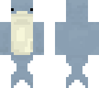 dolphin dude