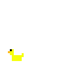 ducky