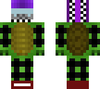 race turtle edit
