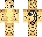 another cheetah