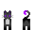 ender kitty