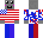 patriotic cat