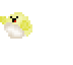 puffer fish