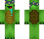 derp turtle with flower crown