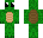 cute turtle