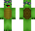 derpy turtle flowers
