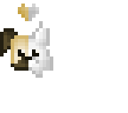 new logo