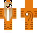 orange kitten