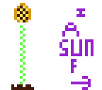 sun flower