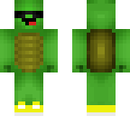 turtles