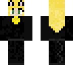chat noir girl