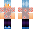 skin for wanderer