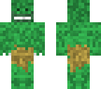 lizard