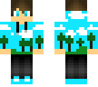 skycrafterpaul