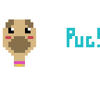 pug