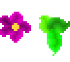 floripondio