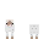 sheep