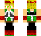 cool boy bardock super  form
