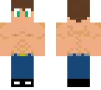 sin camisa