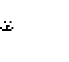annoying dog