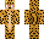 my pet cheetah