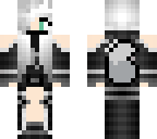 ice skin