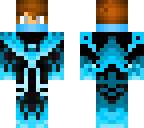 ice ninja