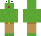 the new salamander