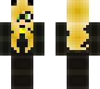 cat noir lady
