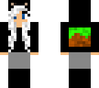 minecraft gamer