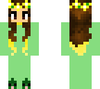 duuck turtle