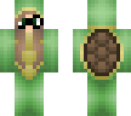 turtle