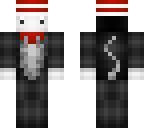 cat in hat