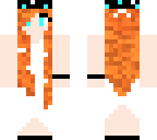 chinchilla's main skin