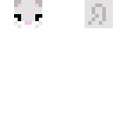 kitten