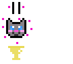 11 kittens