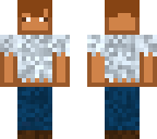 homelesspancake's skin