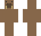 walrus