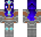 the warrior in silver armour