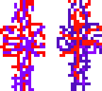 purple and red