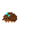 cute hedgehog