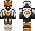 elytra skin