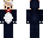 penguin chibi boy