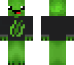 turtles