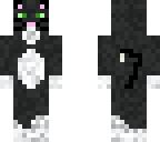 tuxedo cat