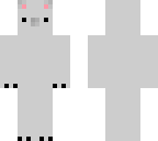 cute koala