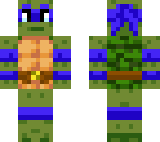 turtle skin 2